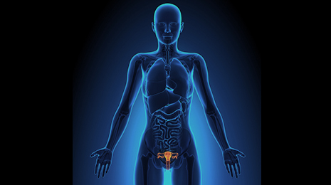 Obstetrics and Gynecology